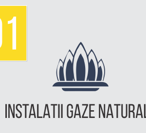 Revizie gaze 10 ani